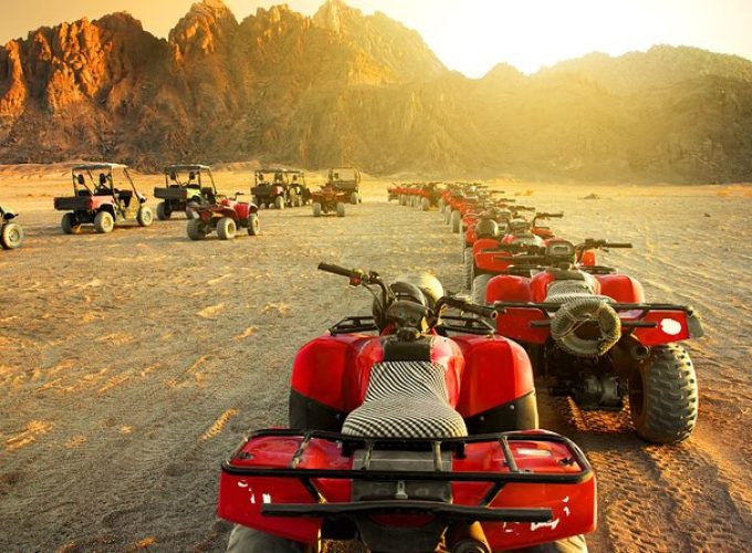 Sunset Safari Adventure