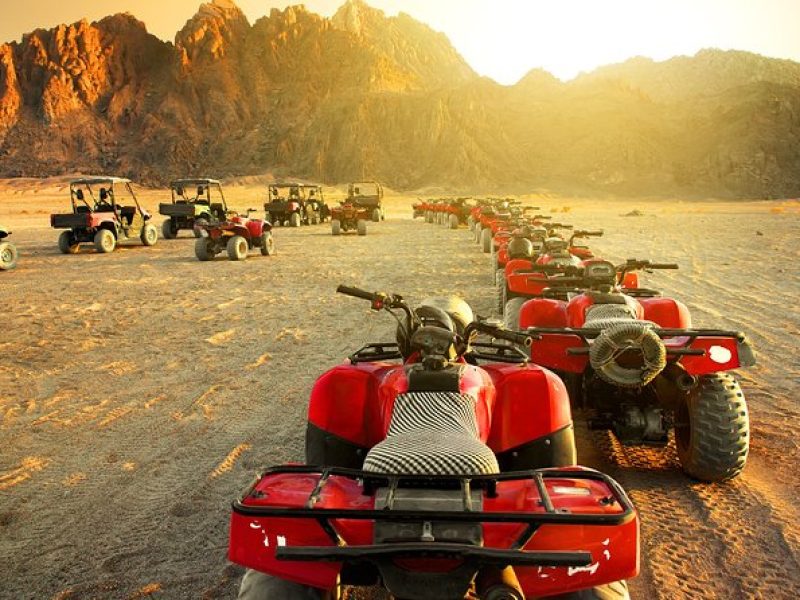 Sunset Safari Adventure