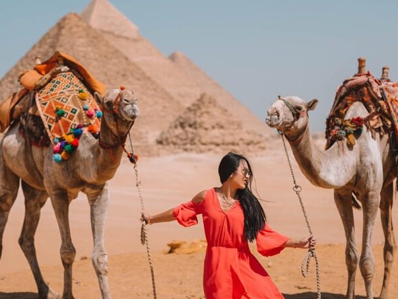Cairo & Pyramids Day Trip: Ancient Wonders and New Museum