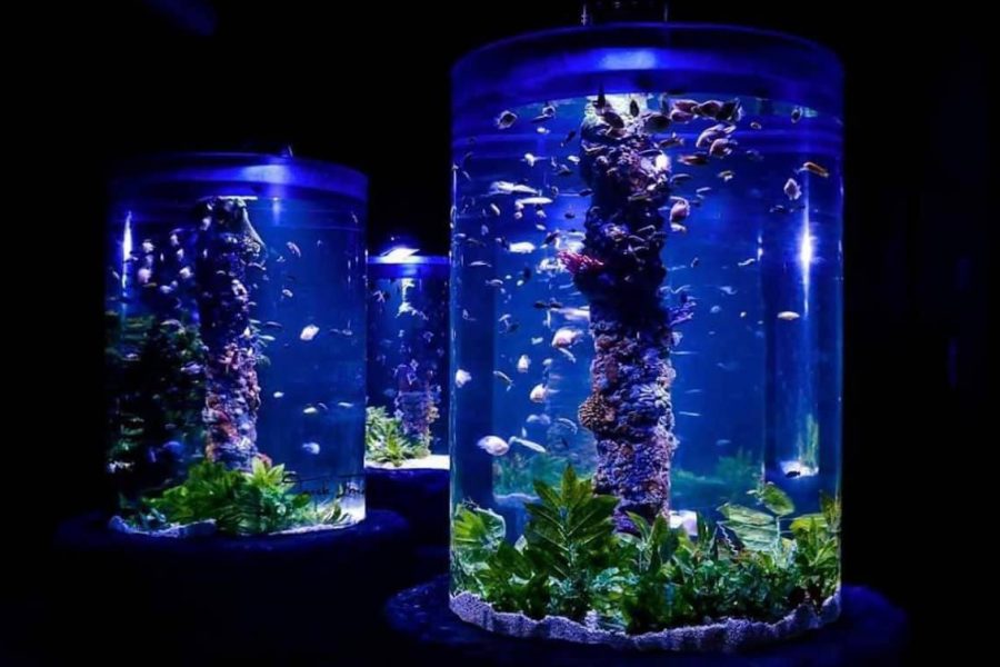 Hurghada Grand Aquarium