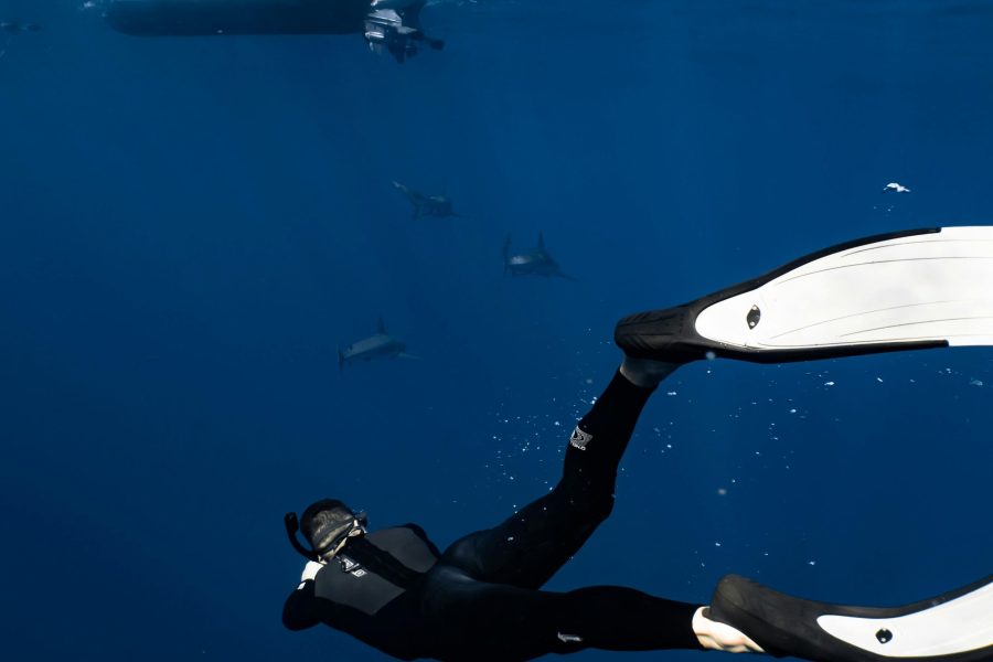 Snorkeling on Utopia Island