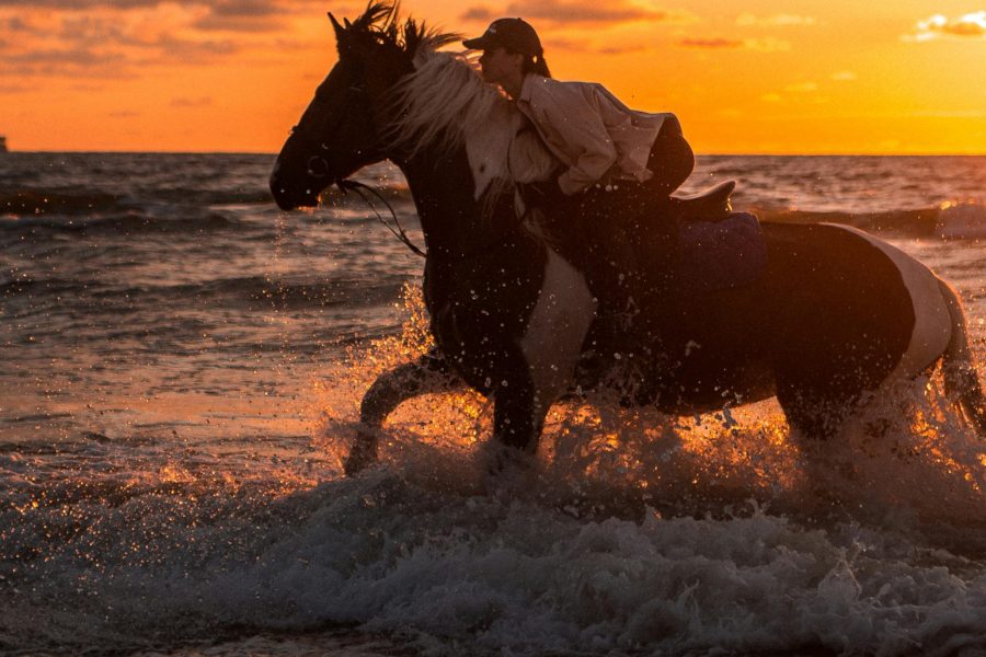 Red Sea and Desert Horse Riding with Swimming