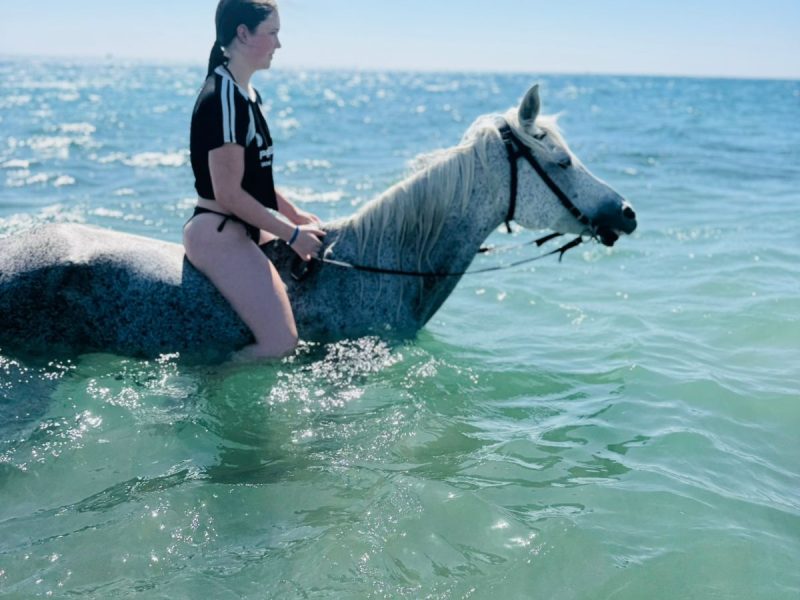 Horse Riding Adventure: Mountain and Sea